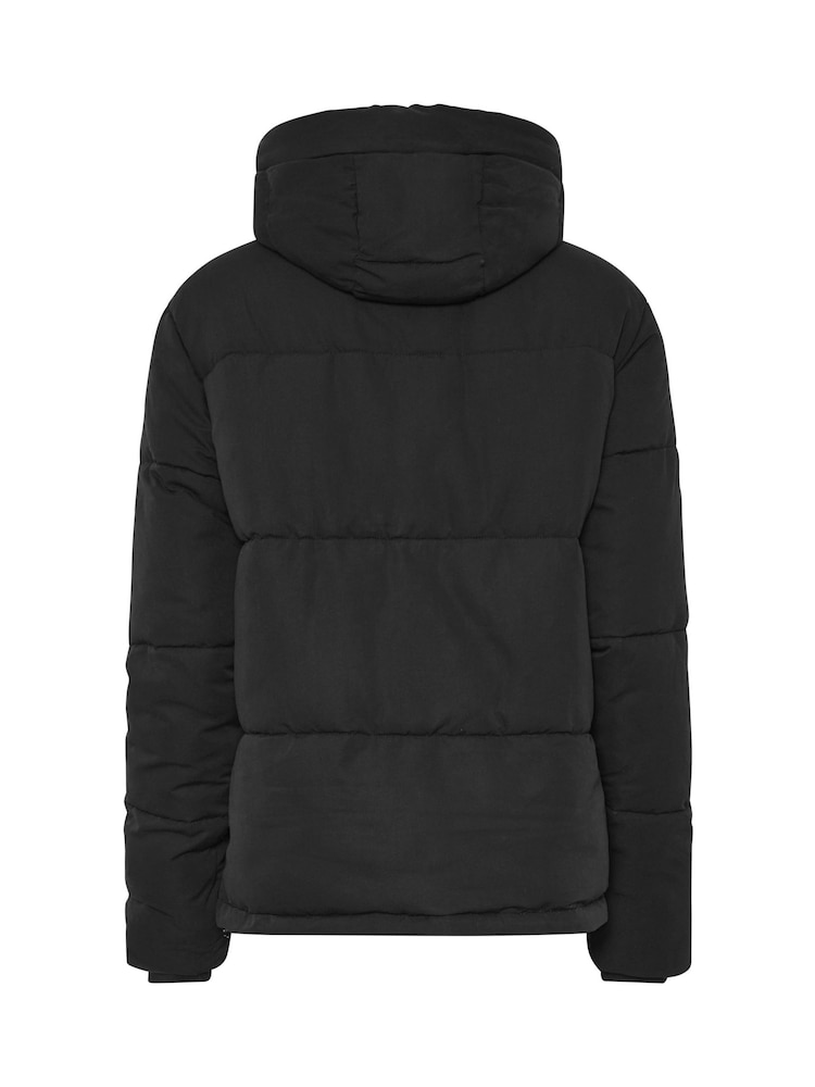 Schwarz - Long Tall Sally Short Padded Jacket - Bild 7 von 7