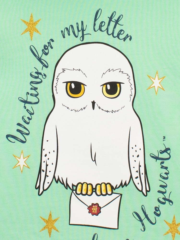Character Green 100% Cotton Harry Potter Hoodie - Image 3 of 3