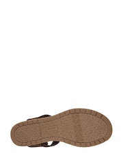 Skechers Brown Bobs Desert Chill Cityscapes Sandals - Image 5 of 5