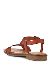 Pavers Brown All-Leather Buckled Sandals - Image 3 of 6