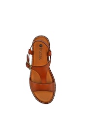 Pavers Brown All-Leather Buckled Sandals - Image 5 of 6