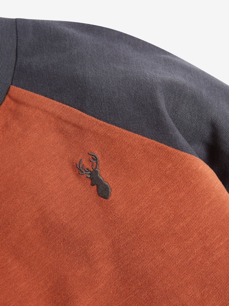 Multi Long Sleeve Raglan T-Shirts 3 Pack (3-16yrs) - Image 6 of 6