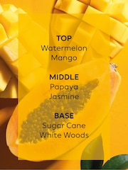 Collection Luxe Antigua Reed Diffuser - Image 4 of 9