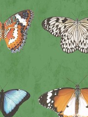 Woodchip & Magnolia Green Lepidoptera Willow Wallpaper - Image 4 of 4