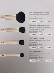 Spectrum Collections All About the Brush 4 Piece Mini Brush & Velvet Puff Set - Εικόνα 3 του 9