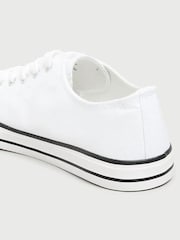 Long Tall Sally White Canvas Low Trainers in Standard Fit - Image 6 of 6