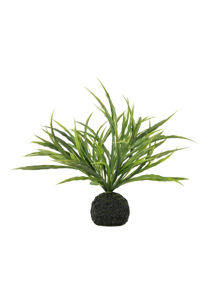 Gallery Home Green Wild Grass in Soil H300mm - Image 3 of 3 Gallery Home Green Wild Grass in Soil H300mm - Image 3 of 3