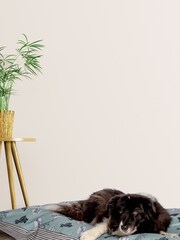Battersea Blue Playful Dogs Deep Duvet Dog Bed - Image 1 of 3
