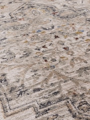Asiatic Rugs Grey Sovereign Medallion Rug - Image 4 of 4