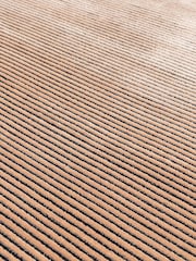 Asiatic Rugs Orange Kuza Stripe Rug - Image 4 of 4
