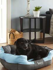 Bunty Blue Anchor Waterproof Dog Bed - Image 1 of 4