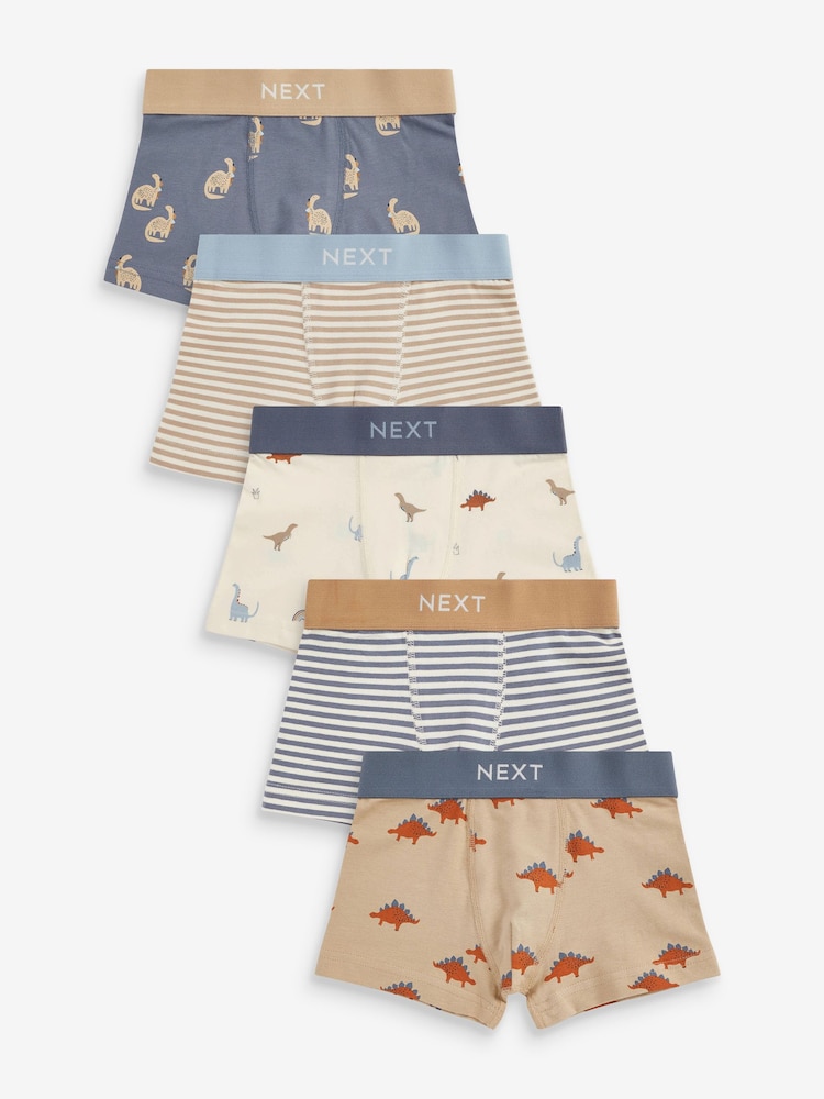Blue/Grey Mini Bright Trunks 5 Pack (2-10yrs) - Image 1 of 8