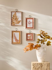 Set of 4 Orange Autumnal Botanical Framed Wall Art - Image 1 of 4