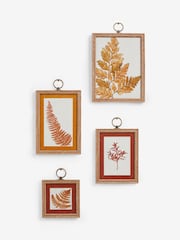 Set of 4 Orange Autumnal Botanical Framed Wall Art - Image 4 of 4