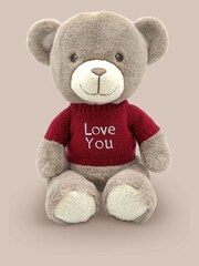 Babyblooms Valentines Day Frankie Bear Soft Toy and Belgian Chocolates - Love You - Image 2 of 6