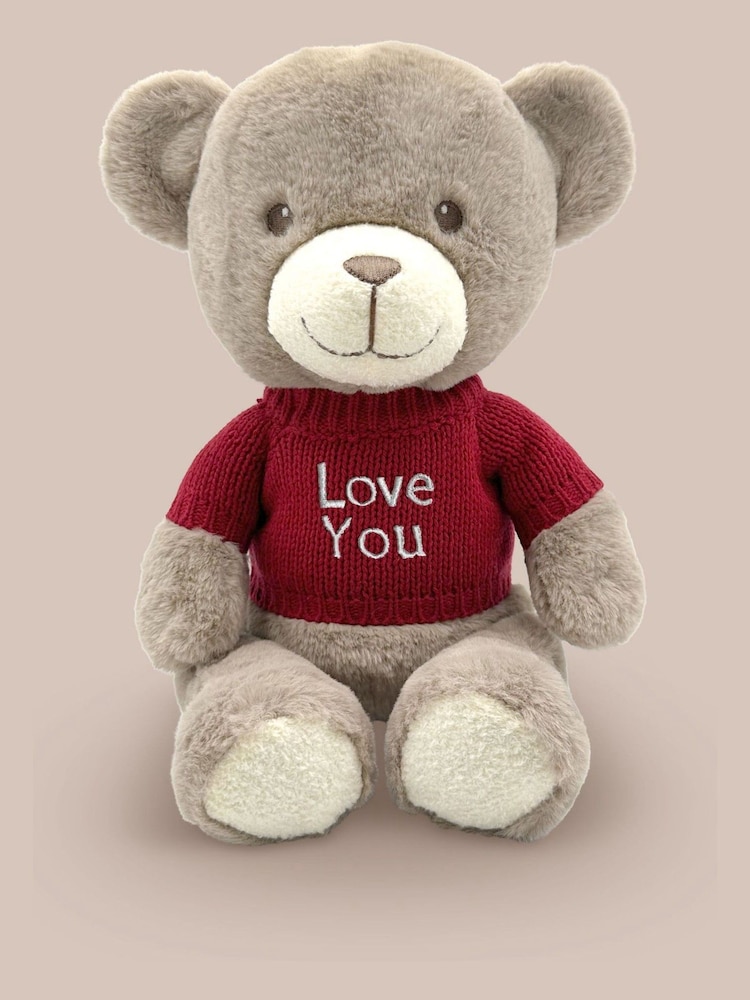 Babyblooms Valentines Day Frankie Bear Soft Toy and Belgian Chocolates - Love You - Image 2 of 6