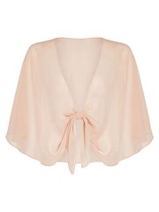 Adrianna Papell Pink Chiffon Coverup - Image 6 of 6
