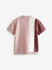 Pink Stripe Short Sleeved Polo Shirt (3mths-7yrs) - Image 2 of 3