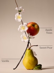 Bath & Body Works Spring Apple Candle 411g - Image 3 of 3