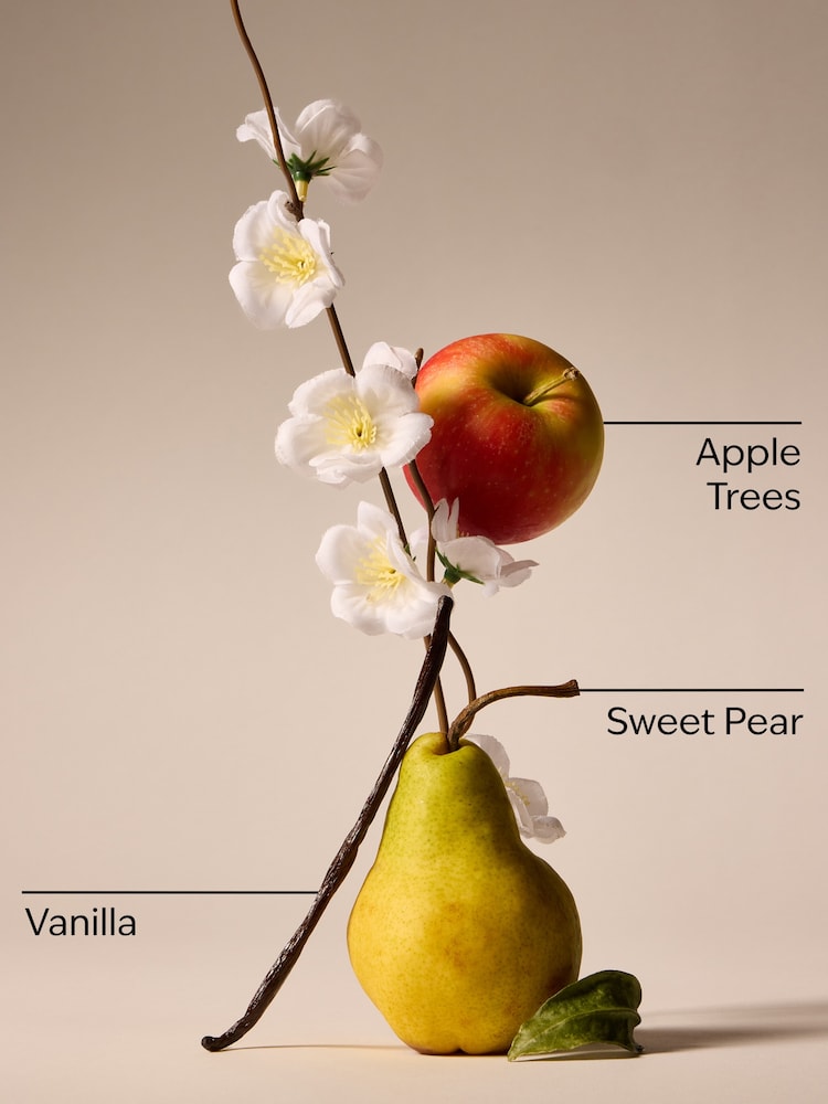 Bath & Body Works Spring Apple Candle 411g - Image 3 of 3 Bath & Body Works Spring Apple Candle 411g - Image 3 of 3