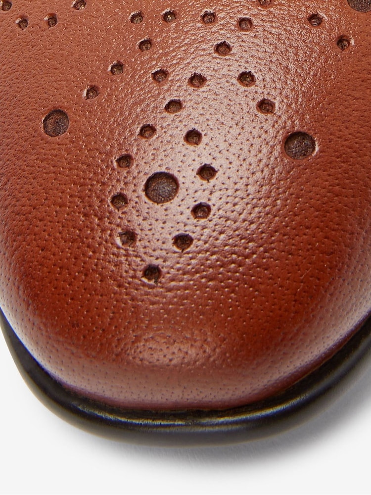 Rjava - Standarden model - Usnjeni čevlji Oxford Brogue - Slika 10 iz 10 Rjava - Standarden model - Usnjeni čevlji Oxford Brogue - Slika 10 iz 10
