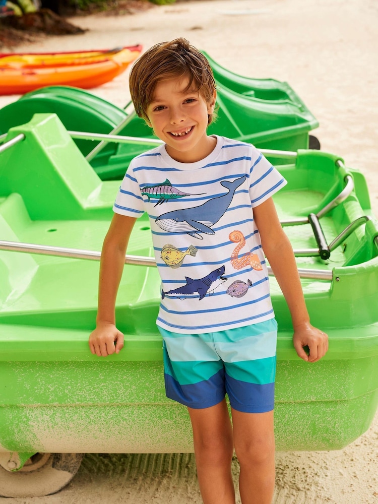 Crew Clothing Company White Stripe Cotton Casual T-Shirt - Image 1 of 3