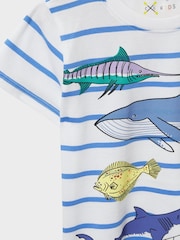 Crew Clothing Company White Stripe Cotton Casual T-Shirt - Image 3 of 3