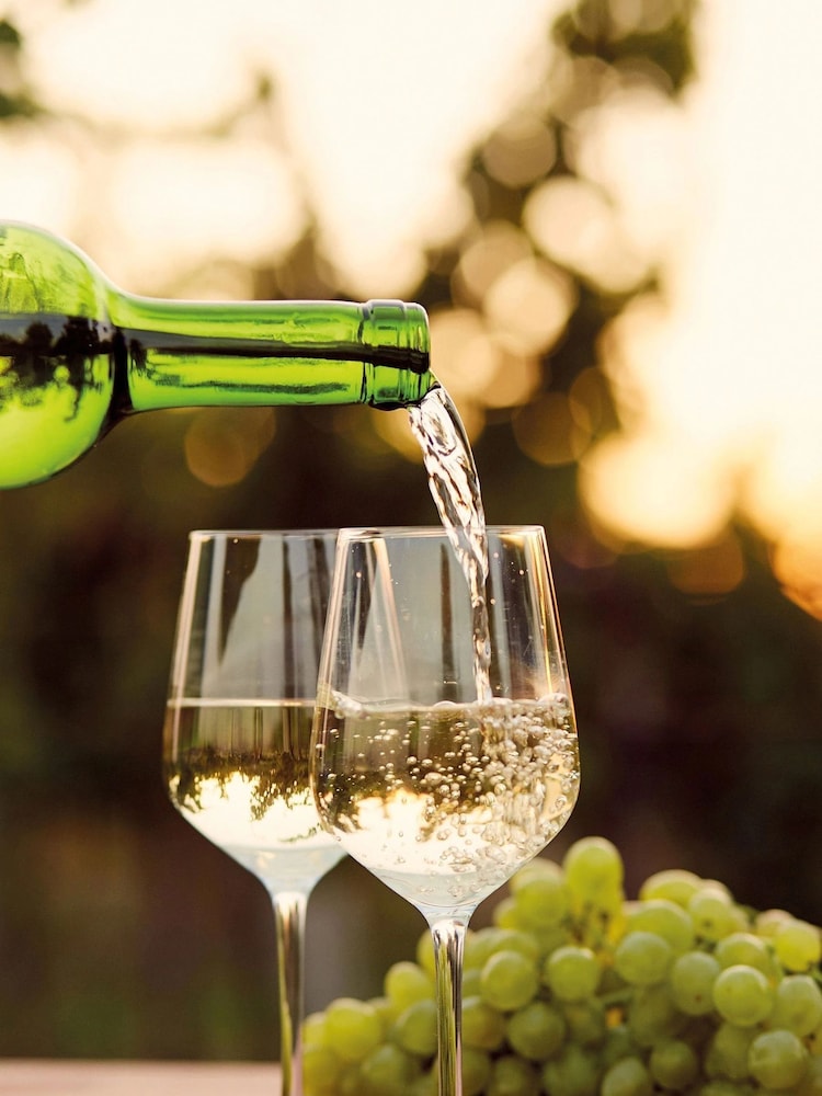 AS Vineyard Gift Experience For Two - Image 1 of 1