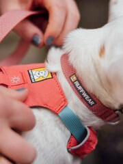 Ruffwear Pink Hi & Light™ Lightweight Dog Collar - Image 1 of 4