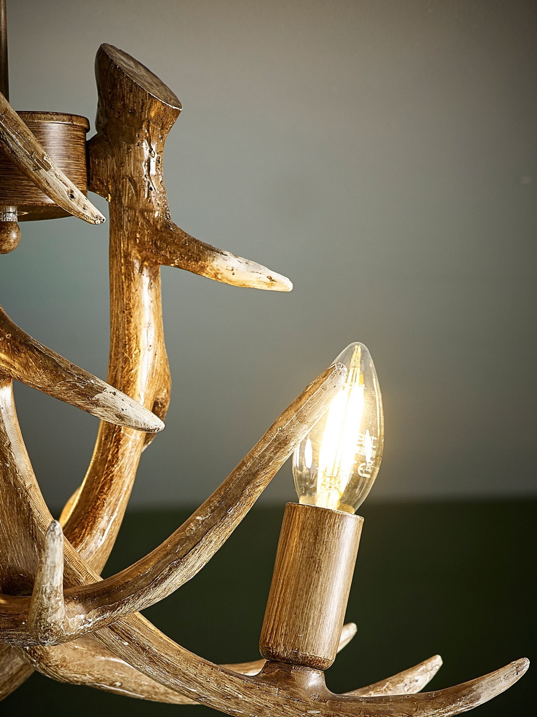 Antler light fitting next top