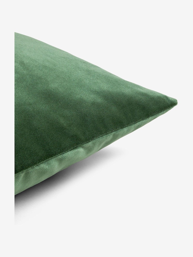 Dark Sage Green 43 x 43cm Matte Velvet Cushion - Image 2 of 5