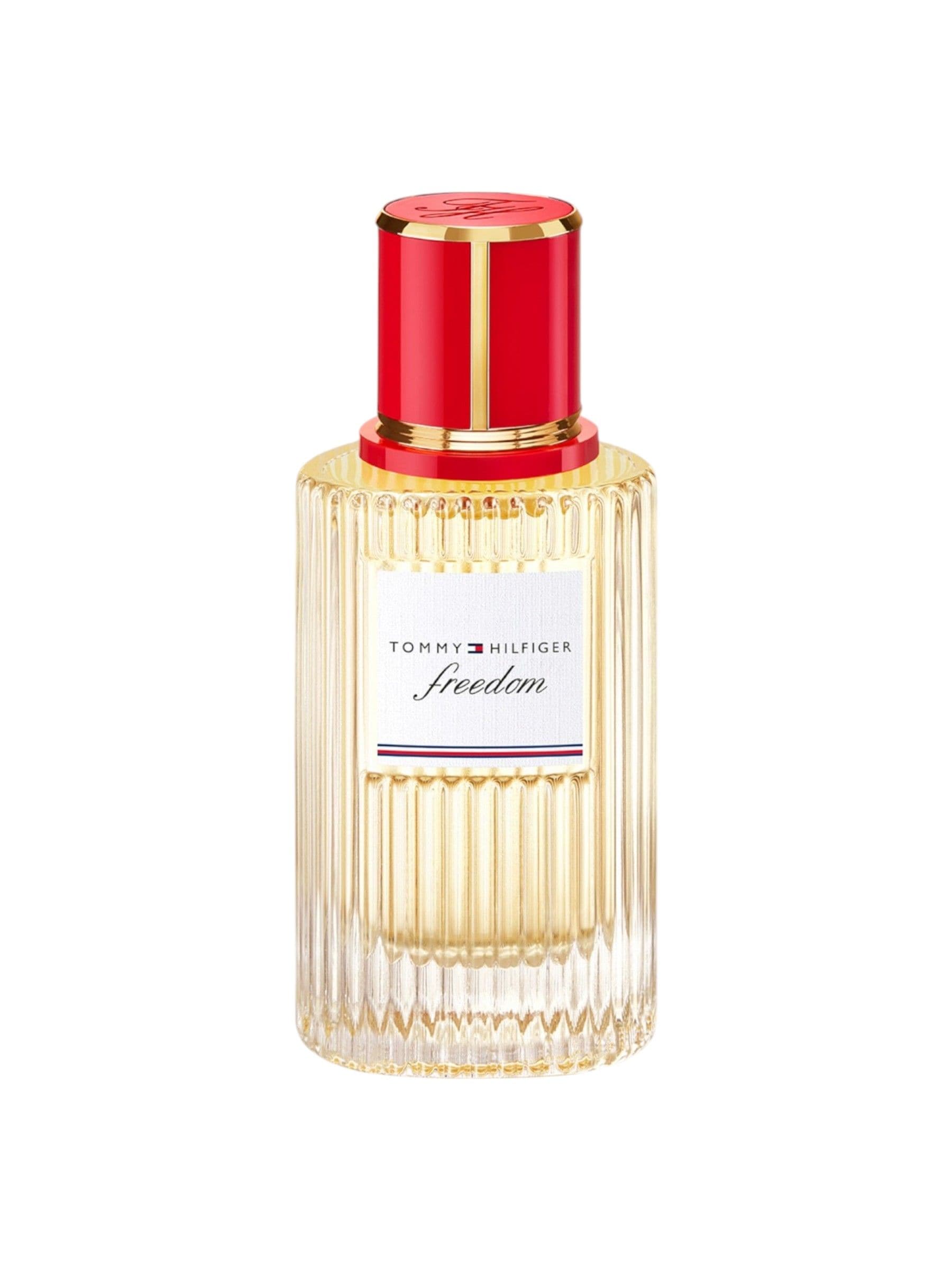 Tommy Hilfiger TH FREEDOM EDP 50ML, One Colour, Men - Image 6