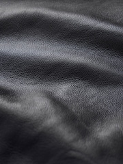 CERENE Wren Black Real Leather Funnel Neck Jacket - Image 12 of 13