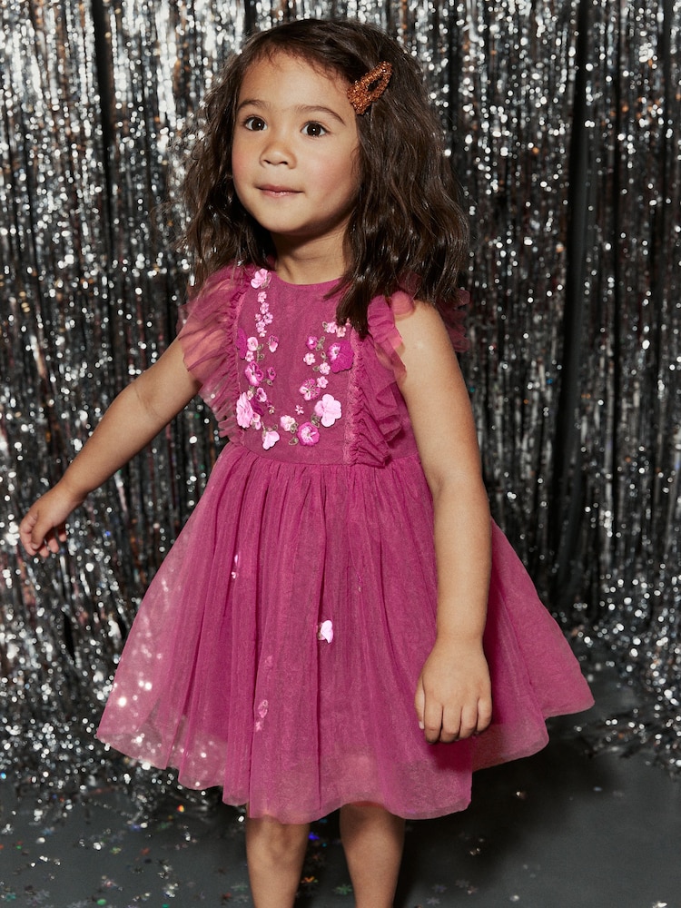Berry Red Mesh Party Dress (3mths-8yrs) - Image 1 of 8