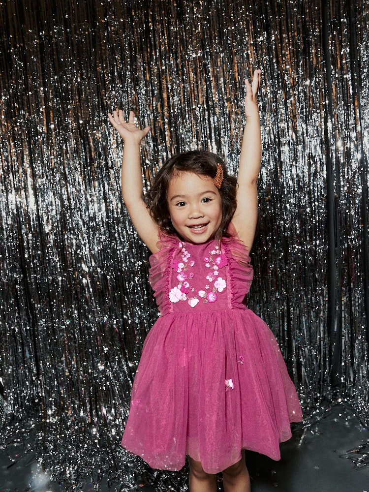 Berry Red Mesh Party Dress (3mths-8yrs) - Image 2 of 8