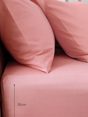 Pink Rose Cotton Rich Sheet - Image 2 of 2