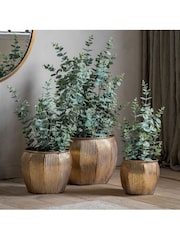 Gallery Home Green Potted Eucalyptus H845mm - Image 1 of 3