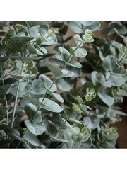 Gallery Home Green Potted Eucalyptus H845mm - Image 2 of 3