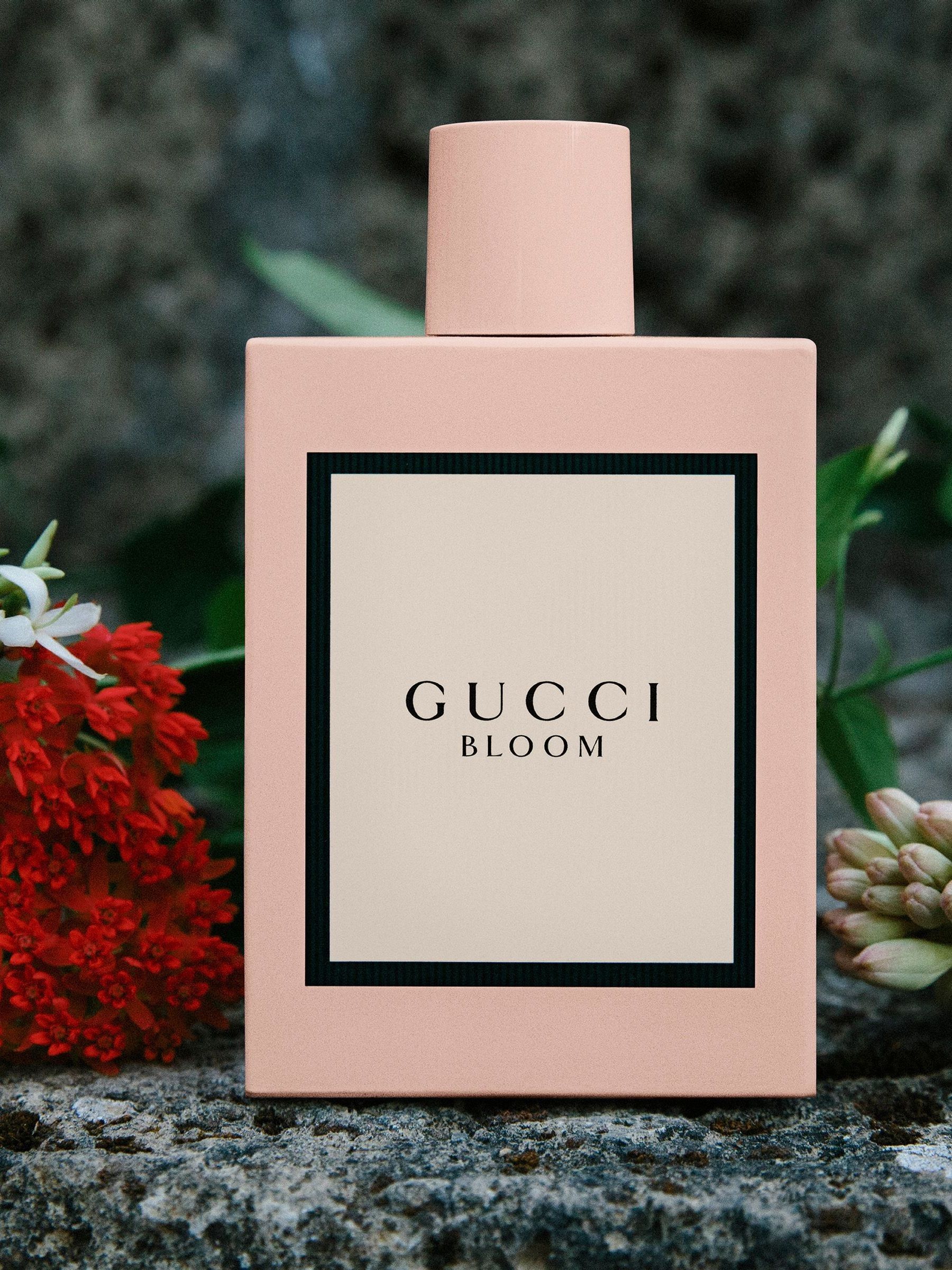 Gucci bloom 50ml discount
