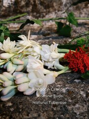 Gucci Bloom Eau de Parfum 50ml - Image 4 of 7