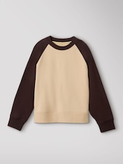 Whistles Brown Contrast Sleeve Sweat Top - Image 6 of 6