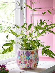 Lucy Tiffney Floral Large Plant Pot - Image 1 of 4