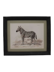 Otters Brook Polyresin Zebra Print - Image 1 of 1