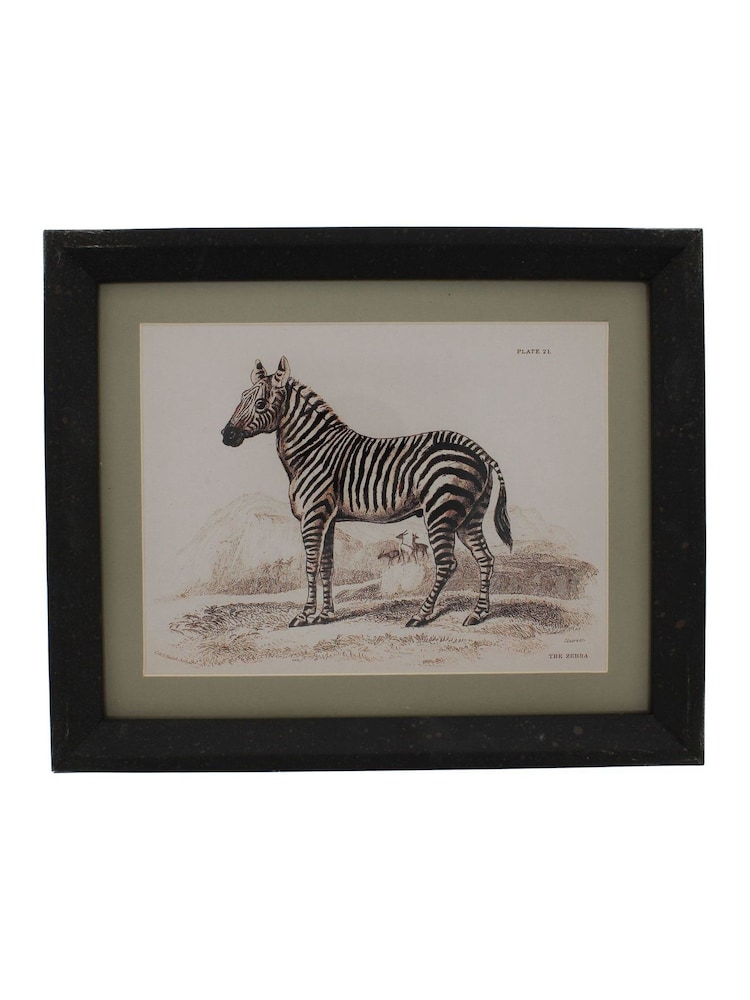 Otters Brook Polyresin Zebra Print - Image 1 of 1