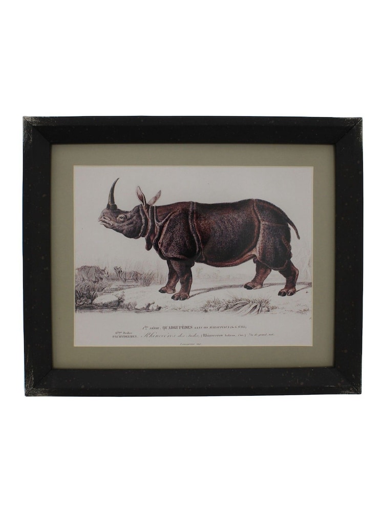 Otters Brook Polyresin Rhinoceros Print - Image 1 of 1