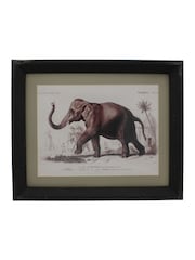 Otters Brook Polyresin Elephant Print - Image 1 of 1