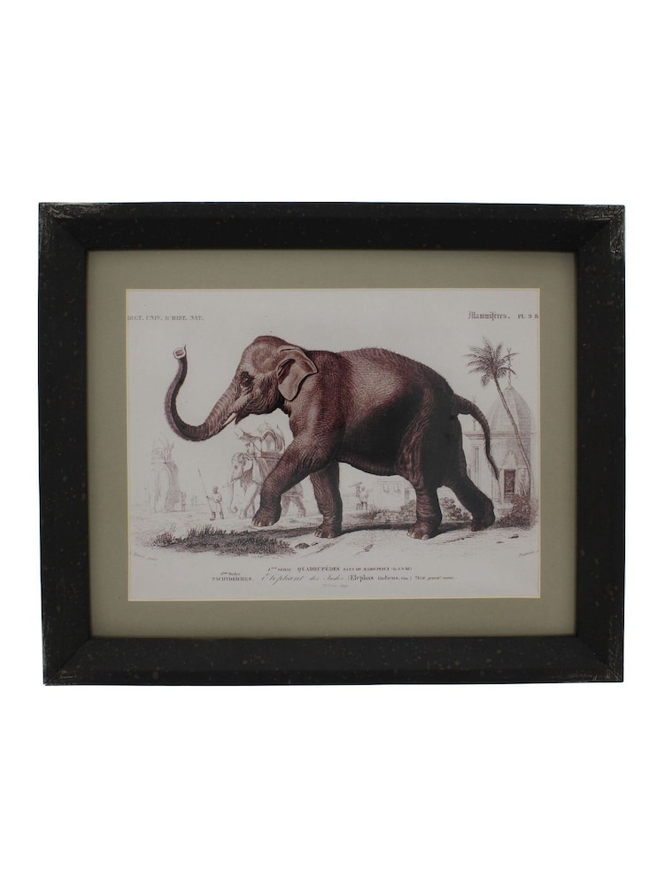 Otters Brook Polyresin Elephant Print - Image 1 of 1