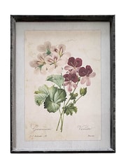 Otters Brook Geranium Flower Print - Image 1 of 1