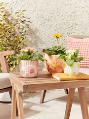 Pink Outdoor Ceramic Floral Plant Pot Set of 3 - Image 1 of 4