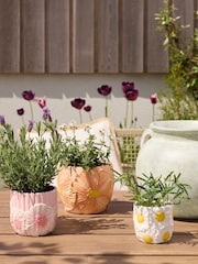 Pink Outdoor Ceramic Floral Plant Pot Set of 3 - Image 2 of 4